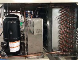 xenon chamber (42)